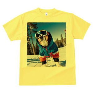 {[_[R[ TVc fB[X t@  t  vg JWA 킢 lԗp h ̃fUC ʔ XL[ {[_[R[ ~  XL[EFA