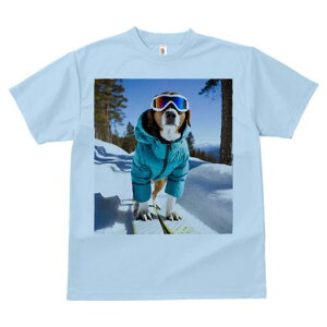 ubhnEh TVc fB[X t@  t  vg JWA 킢 lԗp h ̃fUC ʔ XL[ ubhnEh  ~ XL[EFA