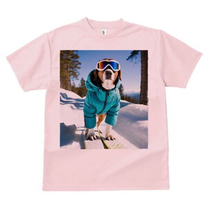 ubhnEh TVc fB[X t@  t  vg JWA 킢 lԗp h ̃fUC ʔ XL[ ubhnEh  ~ XL[EFA