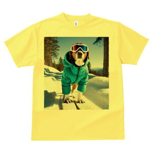 ubhnEh TVc fB[X t@  t  vg JWA 킢 lԗp h ̃fUC ʔ XL[ ubhnEh  ~ XL[EFA