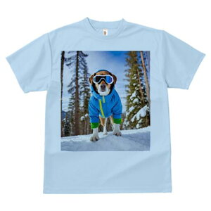 WbNbZeA TVc fB[X t@  t  vg JWA 킢 lԗp h ̃fUC ʔ XL[ WbNbZeA ~  XL[E