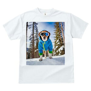 WbNbZeA TVc fB[X t@  t  vg JWA 킢 lԗp h ̃fUC ʔ XL[ WbNbZeA ~  XL[E