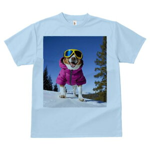 R[M[ TVc fB[X t@  t  vg JWA 킢 lԗp h ̃fUC ʔ XL[ R[M[ ~  XL[EFA