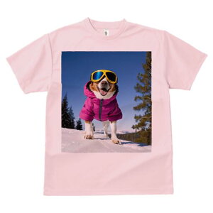 R[M[ TVc fB[X t@  t  vg JWA 킢 lԗp h ̃fUC ʔ XL[ R[M[ ~  XL[EFA