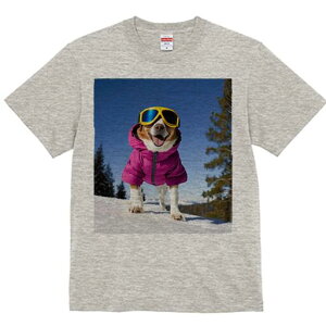 R[M[ TVc fB[X t@  t  vg JWA 킢 lԗp h ̃fUC ʔ XL[ R[M[ ~  XL[EFA