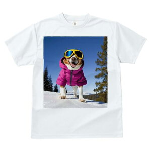R[M[ TVc fB[X t@  t  vg JWA 킢 lԗp h ̃fUC ʔ XL[ R[M[ ~  XL[EFA