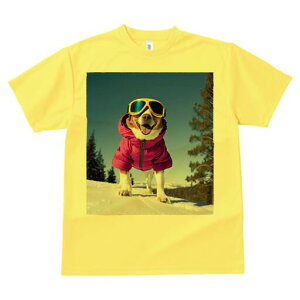 R[M[ TVc fB[X t@  t  vg JWA 킢 lԗp h ̃fUC ʔ XL[ R[M[ ~  XL[EFA