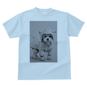 }`[Y TVc fB[X t@  t  vg JWA 킢 lԗp h ̃fUC ʔ CR[g }`[Y