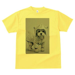 マルチーズ Tシャツ レディース 犬ファン 半袖 春夏 犬柄 プリント カジュアル かわいい 人間用 個性派 ここだけのデザイン 面白 レインコート マルチーズ