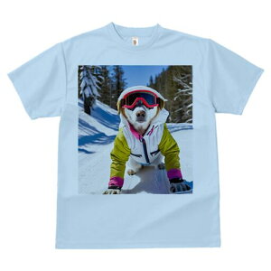  TVc fB[X t@  t  vg JWA 킢 lԗp h ̃fUC ʔ XL[EFA  XL[S[O R ~