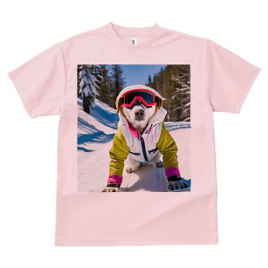  TVc fB[X t@  t  vg JWA 킢 lԗp h ̃fUC ʔ XL[EFA  XL[S[O R ~