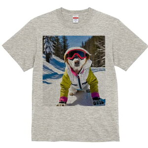  TVc Y LbY t@  t  vg JWA 킢 lԗp h ̃fUC ʔ XL[EFA  XL[S[O R ~