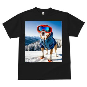 Č TVc fB[X t@  t  vg JWA 킢 lԗp h ̃fUC ʔ XL[ Č ~ R XL[EFA