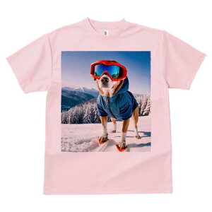 Č TVc Y LbY t@  t  vg JWA 킢 lԗp h ̃fUC ʔ XL[ Č ~ R XL[EFA