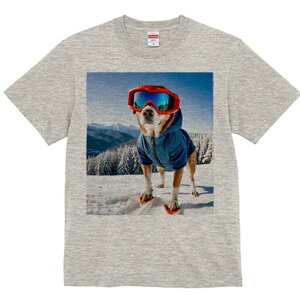 Č TVc fB[X t@  t  vg JWA 킢 lԗp h ̃fUC ʔ XL[ Č ~ R XL[EFA