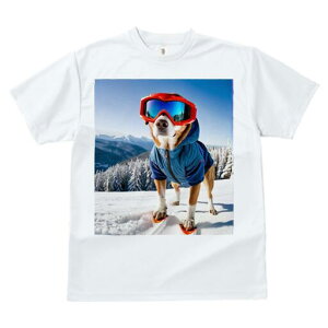 Č TVc fB[X t@  t  vg JWA 킢 lԗp h ̃fUC ʔ XL[ Č ~ R XL[EFA