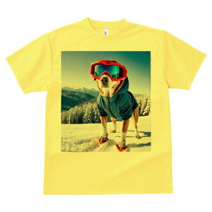 Č TVc fB[X t@  t  vg JWA 킢 lԗp h ̃fUC ʔ XL[ Č ~ R XL[EFA