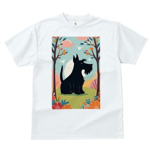 XReBbVeA TVc fB[X t@  t  vg JWA 킢 lԗp h ̃fUC ʔ  XReBbVeA   R