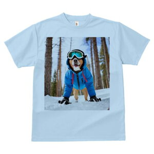 oZW[ TVc fB[X t@  t  vg JWA 킢 lԗp h ̃fUC ʔ  oZW[ ~ XL[EFA S[O