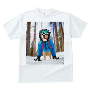 oZW[ TVc Y LbY t@  t  vg JWA 킢 lԗp h ̃fUC ʔ  oZW[ ~ XL[EFA S[O