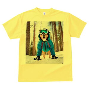 oZW[ TVc fB[X t@  t  vg JWA 킢 lԗp h ̃fUC ʔ  oZW[ ~ XL[EFA S[O