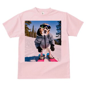 r[O TVc fB[X t@  t  vg JWA 킢 lԗp h ̃fUC ʔ XL[ r[O XL[EFA R ~