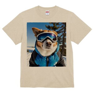 R[M[ TVc Y LbY t@  t  vg JWA 킢 lԗp h ̃fUC ʔ XL[ R[M[ ~  XL[EFA