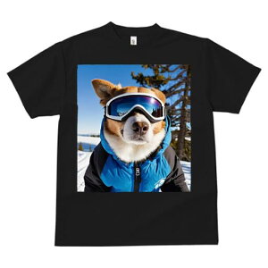 R[M[ TVc Y LbY t@  t  vg JWA 킢 lԗp h ̃fUC ʔ XL[ R[M[ ~  XL[EFA