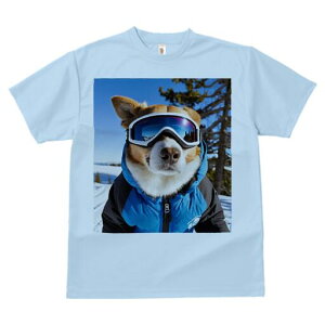 R[M[ TVc fB[X t@  t  vg JWA 킢 lԗp h ̃fUC ʔ XL[ R[M[ ~  XL[EFA