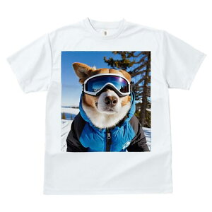 R[M[ TVc fB[X t@  t  vg JWA 킢 lԗp h ̃fUC ʔ XL[ R[M[ ~  XL[EFA