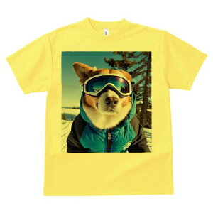 R[M[ TVc Y LbY t@  t  vg JWA 킢 lԗp h ̃fUC ʔ XL[ R[M[ ~  XL[EFA