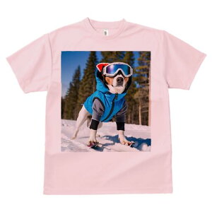 WbNbZeA TVc fB[X t@  t  vg JWA 킢 lԗp h ̃fUC ʔ XL[ WbNbZeA XL[EFA 