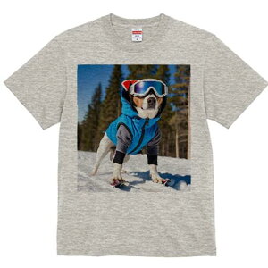 �W���b�N���b�Z���e���A T�V���c ���f�B�[�X ���t�@�� ���� �t�� ���� �v�����g �J�W���A�� ���킢�� �l�ԗp ���h ���������̃f�U�C�� �ʔ� �X�L�[ �W���b�N���b�Z���e���A �X�L�[�E�F�A 