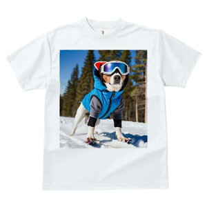 WbNbZeA TVc fB[X t@  t  vg JWA 킢 lԗp h ̃fUC ʔ XL[ WbNbZeA XL[EFA 