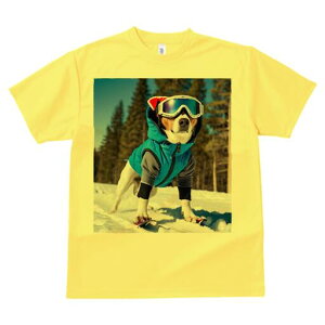 WbNbZeA TVc fB[X t@  t  vg JWA 킢 lԗp h ̃fUC ʔ XL[ WbNbZeA XL[EFA 