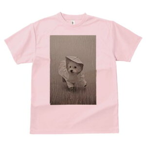 }`[Y TVc fB[X t@  t  vg JWA 킢 lԗp h ̃fUC ʔ J }`[Y CR[g