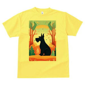 ViEU[ TVc fB[X t@  t  vg JWA 킢 lԗp h ̃fUC ʔ  ViEU[ n[g