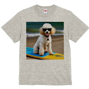 v[h TVc fB[X t@  t  vg JWA 킢 lԗp h ̃fUC ʔ TOX v[h T[t{[h C