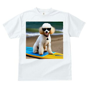 v[h TVc fB[X t@  t  vg JWA 킢 lԗp h ̃fUC ʔ TOX v[h T[t{[h C