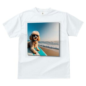 v[h TVc fB[X t@  t  vg JWA 킢 lԗp h ̃fUC ʔ r[` v[h T[t{[h TOX C