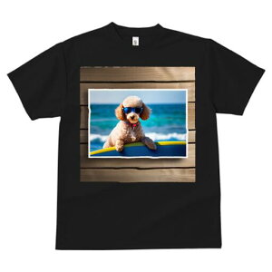 gCv[h TVc fB[X t@  t  vg JWA 킢 lԗp h ̃fUC ʔ TOX gCv[h C T[t{[h