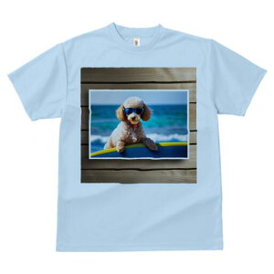 gCv[h TVc fB[X t@  t  vg JWA 킢 lԗp h ̃fUC ʔ TOX gCv[h C T[t{[h