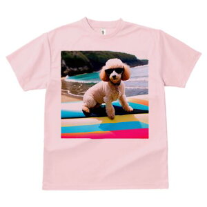 gCv[h TVc fB[X t@  t  vg JWA 킢 lԗp h ̃fUC ʔ TOX gCv[h r[` T[t{[h