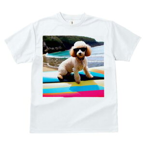 gCv[h TVc fB[X t@  t  vg JWA 킢 lԗp h ̃fUC ʔ TOX gCv[h r[` T[t{[h