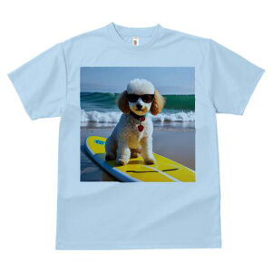 gCv[h TVc fB[X t@  t  vg JWA 킢 lԗp h ̃fUC ʔ T[t{[h gCv[h C r[` TOX