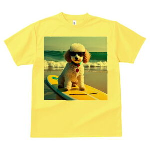 gCv[h TVc fB[X t@  t  vg JWA 킢 lԗp h ̃fUC ʔ T[t{[h gCv[h C r[` TOX