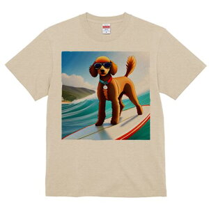 v[h TVc Y LbY t@  t  vg JWA 킢 lԗp h ̃fUC ʔ T[tB v[h C g TOX