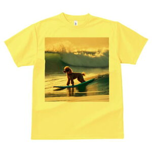 v[h TVc Y LbY t@  t  vg JWA 킢 lԗp h ̃fUC ʔ g v[h T[tB