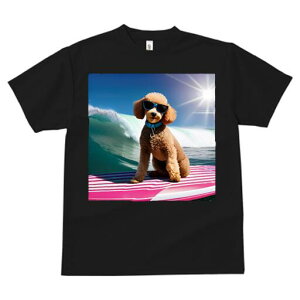 v[h TVc fB[X t@  t  vg JWA 킢 lԗp h ̃fUC ʔ T[tB v[h C g TOX