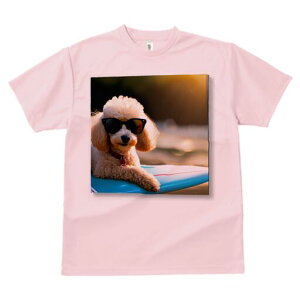 v[h TVc fB[X t@  t  vg JWA 킢 lԗp h ̃fUC ʔ TOX v[h T[t{[h